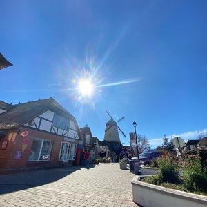 Meet your Posher, Mary antonette